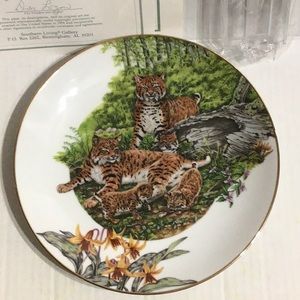 Collectible Plate